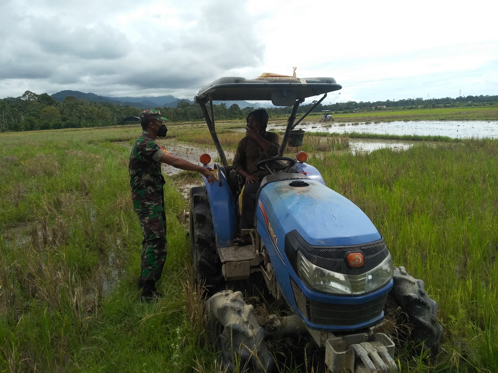 Percepat Masa Tanam Babinsa Bantu Petani Bajak Sawah