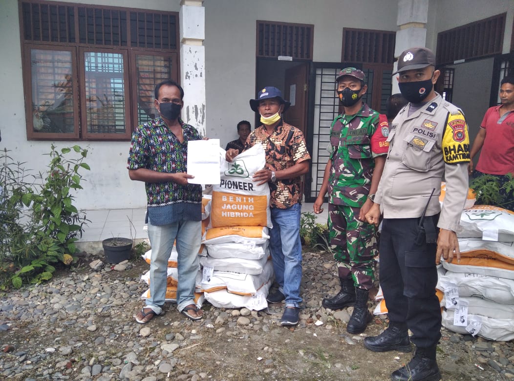 Serda Joko Wibowo Dampingi Pendistribusian Bibit P-35