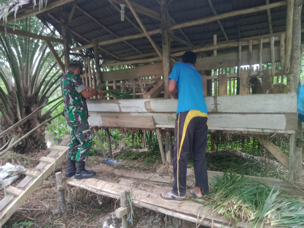 Melalui Komsos, Babinsa Banda Alam Sambangi Peternak Kambing di Desa Binaan