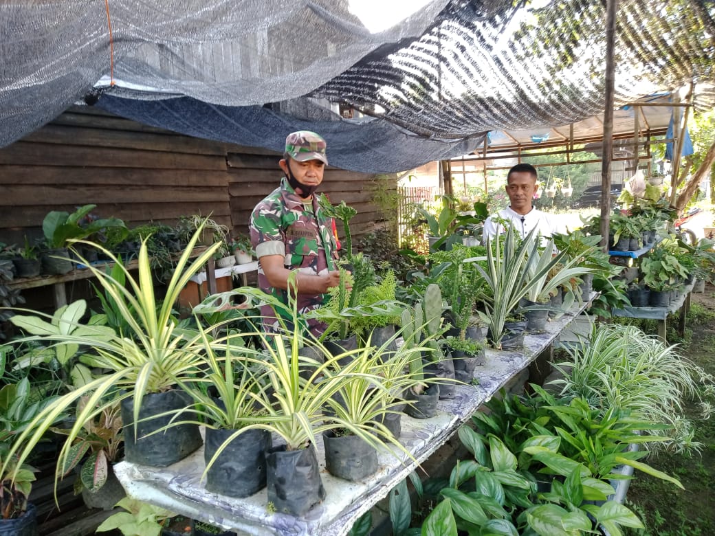 Babinsa Madat Anjangsana Dengan Menyambangi Budidaya Tanaman Hias di Desa Binaan