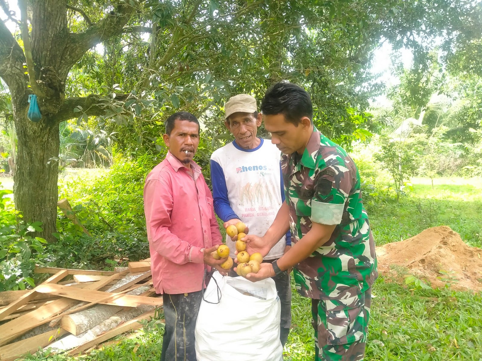 Serda Suyono : Buah Sawo Lokal Tidak Kalah Saing Dengan buah Unggulan