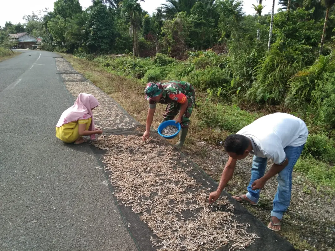 Babinsa Koramil 06/Teluk Dalam melaksanakan Komsos di wilayah binaan sembari membantu menjemur ikan teri