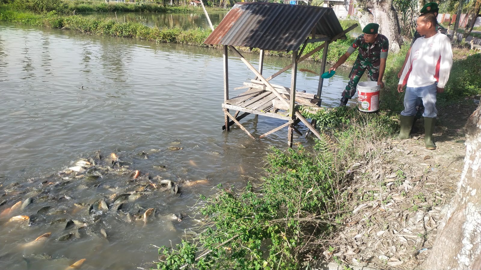 Sambangi Peternak Ikan Mas, Babinsa Motivasi Warga Tingkatkan Penghasilan