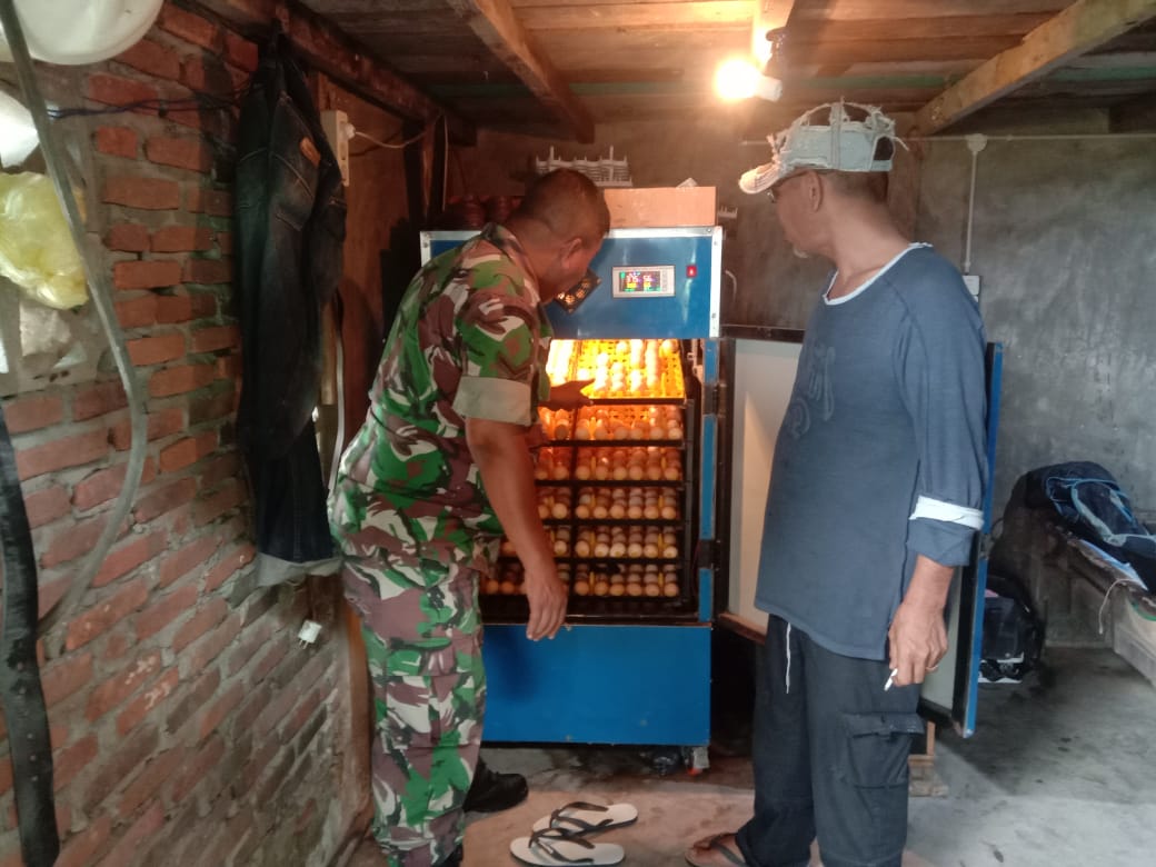 Serda R.B.sembiring Babinsa Koramil 07/Julok Sambangi Perternakan Ayam Di Desa Binaan
