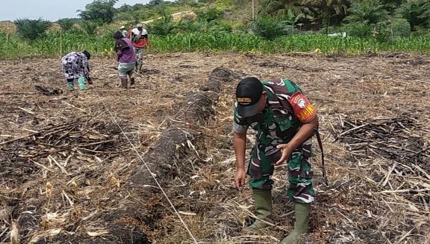 Babinsa Cipar Pari Bantu Warga Menanam Jagung di Desa Binaan