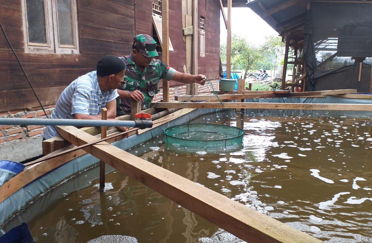 Dorong Perekonomian Masyarakat, Koptu Eko Susilo Sambangi Budidaya Udang Sistem Bioflok