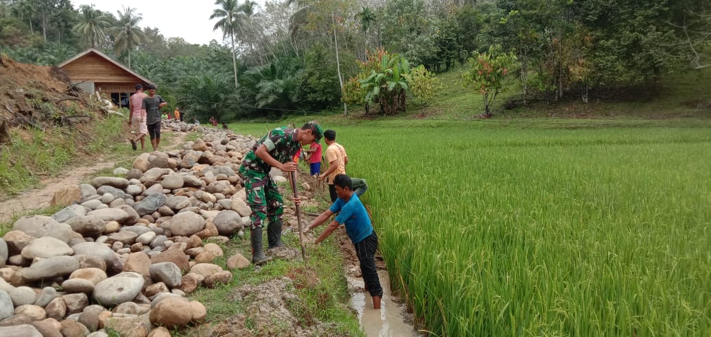 Babinsa Koramil 17/Idi Tunong ,Serda Faisal Gotong Royong Bersama Warga Bangun TPT