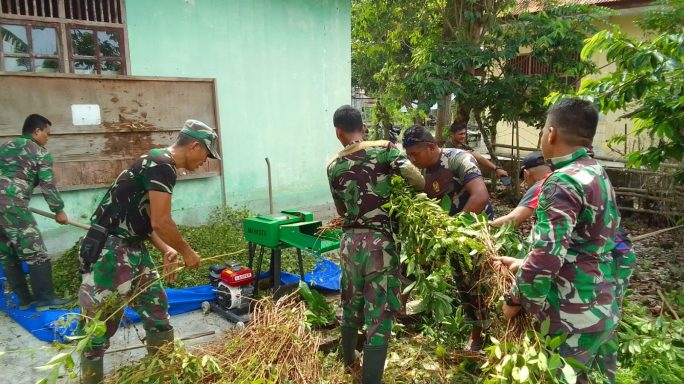 Sebagai Pengganti Pupuk Kimia, Personil Kodim 0107/Asel Olah Pupuk Organik