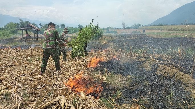 Babinsa Himbau Tidak Bakar Lahan Pasca Panen