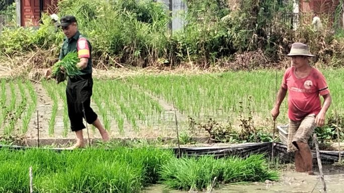 Petani Desa Tengah Pelumat Ucapkan Terimakasih Kepada Babinsa Kodim 0107/Asel