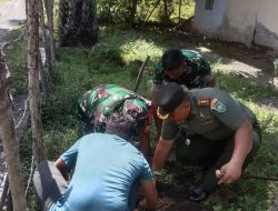 Jaga Kelestarian Alam, Babinsa Posramil Kuala Pesisir Gelar Acara Pembagian dan Penanaman Bibit Buah