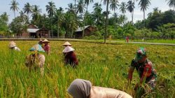 kodam_im_1678514700193