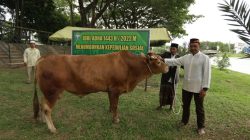 kodam_im_1679411637081