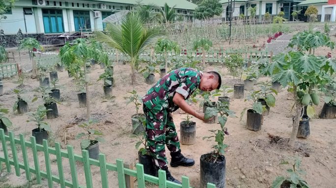 Manfaatkan Halaman Kantor, Koramil 0117/Aceh Tamiang Rawat Tanam Terong Dan Kacang Panjang