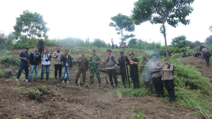 Korem 012/TU Temukan dan Musnahkan Ladang Ganja Terbesar
