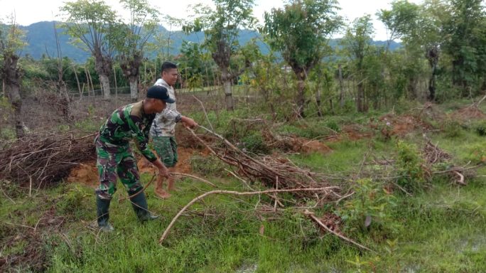 Kodim 0107/Asel Melanjutkan Pengolahan Lahan Ketahanan Pangan