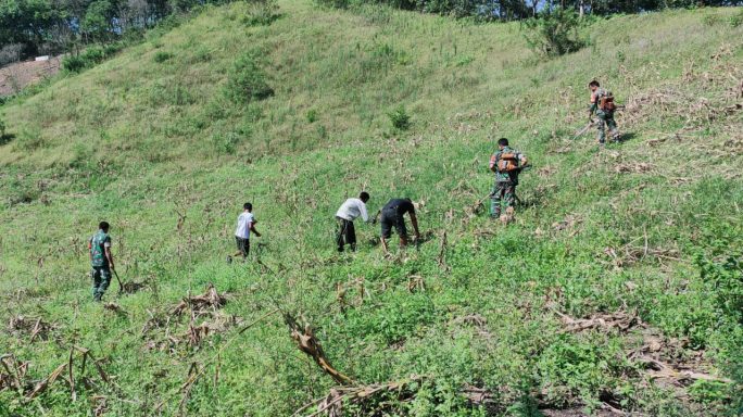 Jalin Kebersamaan Babinsa Bantu Petani Bersihkan Lahan Pasca Panen jagung