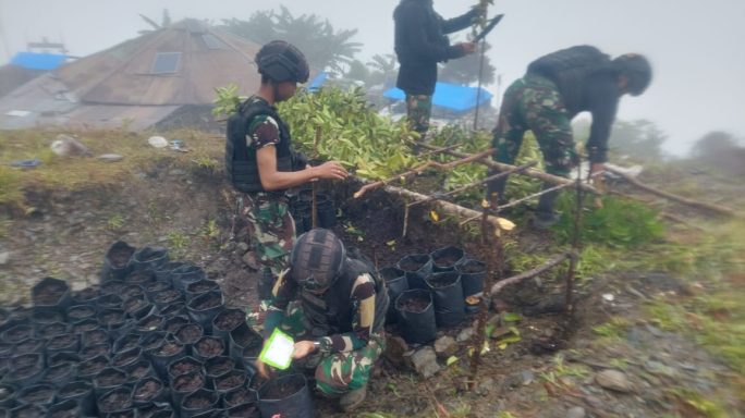 Satgas Yonif RK 115/ML Memotivasi Masyarakat Puncak Jaya dalam Program Ketahanan Pangan