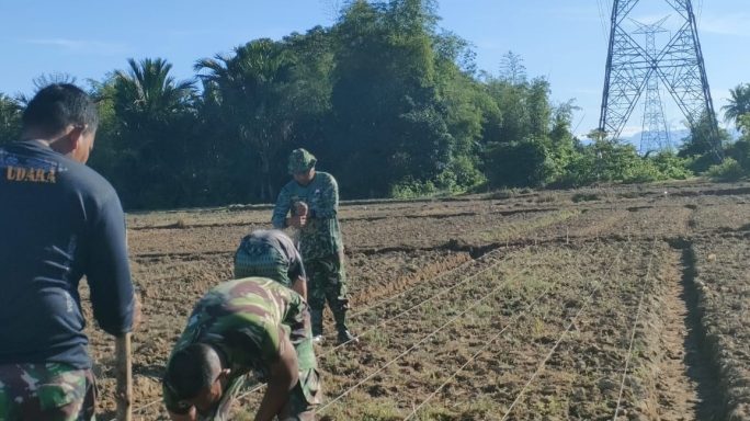 Dandim 0105/Abar Membagi Sektor Per Koramil/Posramil Agar Proses Tanam Jagung Maksimal