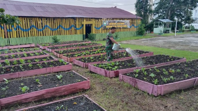 Anggota Makodim 0116/Nara Laksanakan Penyiraman tanaman Sayuran