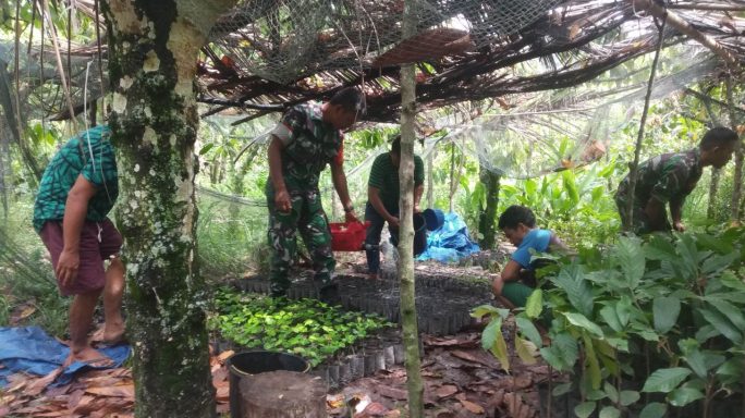 Dukung Dan Motifasi,Babinsa Dampingi Warga Binaan Dalam Pembibitan Coklat/Kakao