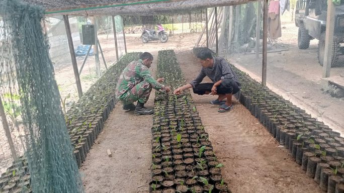 Sertu Saiful Sambangi dan Berikan Motivasi Pelaku Usaha Pembibitan Sawit