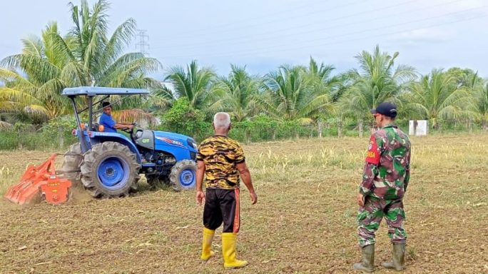 Dukum Program IM Jagung Kodim 0116/Nagan Raya Manfaatkan Lahan Tidur Untuk di Tanam Jagung