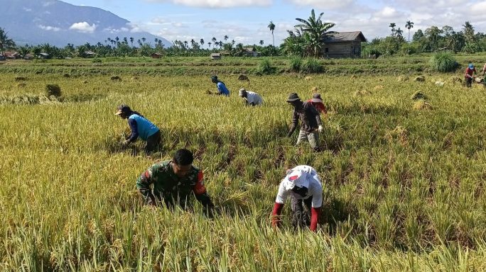 Tak Kenal Lelah Babinsa Selalu Hadir Ditengah Tengah Warganya
