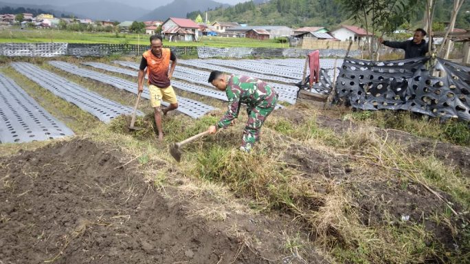 Sukseskan Ketahanan Pangan, Babinsa Bantu warga membuka lahan
