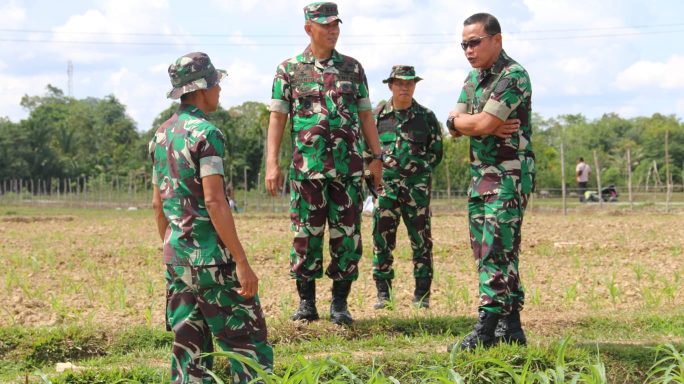 Dandim 0105/Abar Bersama Danrem 012/TU Dampingi Kapok Sahli Pangdam IM Tinjau Lahan Tanaman Jagung Program I’M Jagong