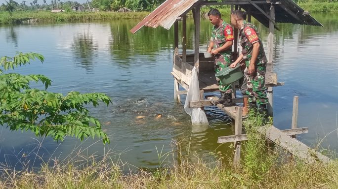 Babinsa Dampingi Warga Binaan Beri Pakan Ikan Mas