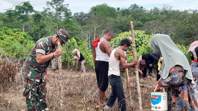 Gunakan Lahan Kosong,Serda Rasidi Babinsa Koramil 19 /Idm Bantu Warga Menanam Jagung