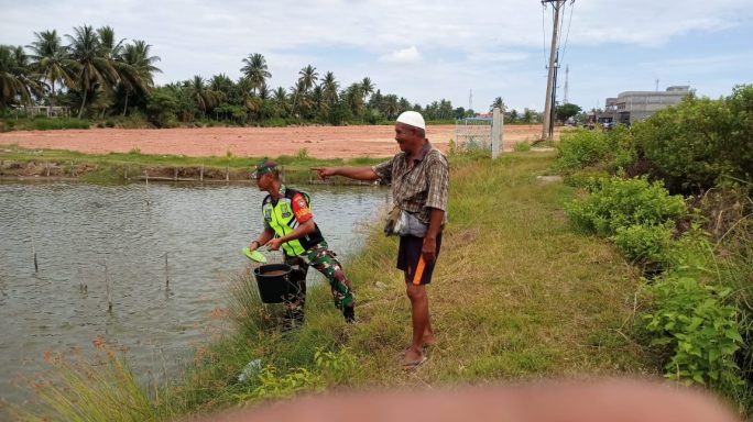 Babinsa Koramil 02/Samalanga Dampingi Warga Binaan Budidaya Ikan