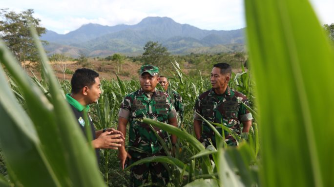 Pangdam IM meninjau lahan I’M Jagong di Wilayah Kec. Kota Cot Gle, Kab. Aceh Besar