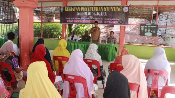 Cegah Stunting Satgas TMMD Reguler Ke-117 Kodim 0108/Agara Laksanakan Sosialisasi Stunting