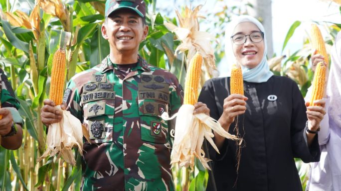 Pangdam IM dan Ibu Ketua Persit KCK Daerah Iskandar Muda mengjungi lahan Ketahanan Pangan Food Estate Korem 012/TU.