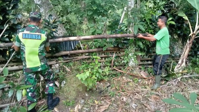 Cegah Hewan Ternak Masuk Kebun, Babinsa Koramil 05/Simbar Bantu Warganya Perbaiki Pagar