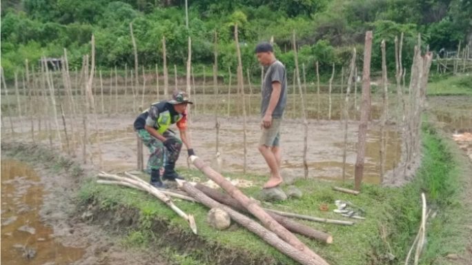 Peduli Terhadap Warga, Babinsa Dampingi Petani Membuat Tempat Penyemaian Bibit Padi