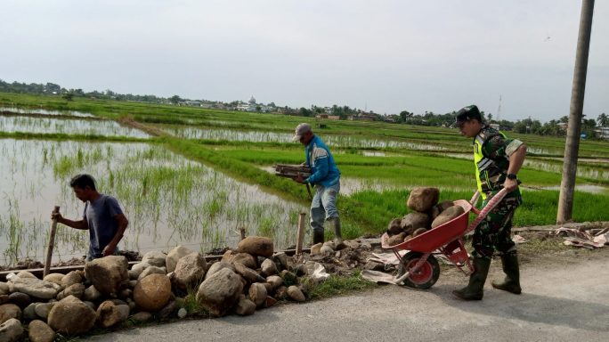 Peran Babinsa dalam Meningkatkan Produksi Pertanian Pada Pembangunan Irigasi Sawah di Desa Blang Mitrah Peureulak.