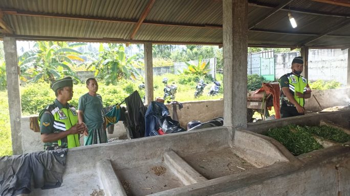 Jaga Kesehatan Ternak Sapi Warga Babinsa Cek Kebersihan Kandang