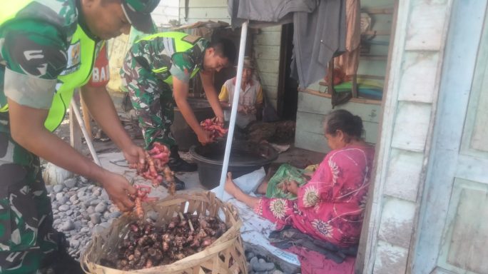 Wujud Kebersamaan, Babinsa Bantu Petani Turut Memanen Lengkuas/laos