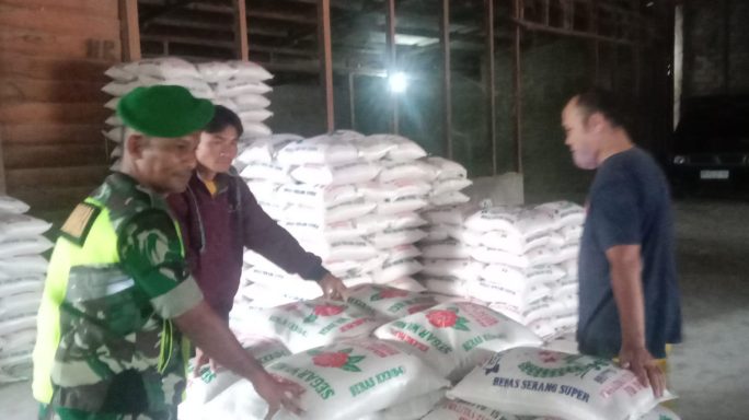 Cek Ketersediaan Beras Babinsa Anjangsana ke Kilang Padi