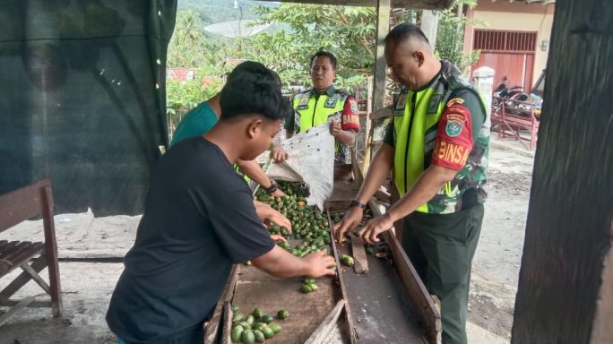 Babinsa Anjangsana Pengusaha UMKM Pengepul Pinang Muda
