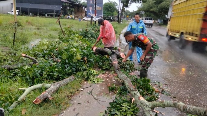 Gunakan Alat Sederhana, Babinsa dan Masyarakat Setempat, Evakuasi Pohon Tumbang