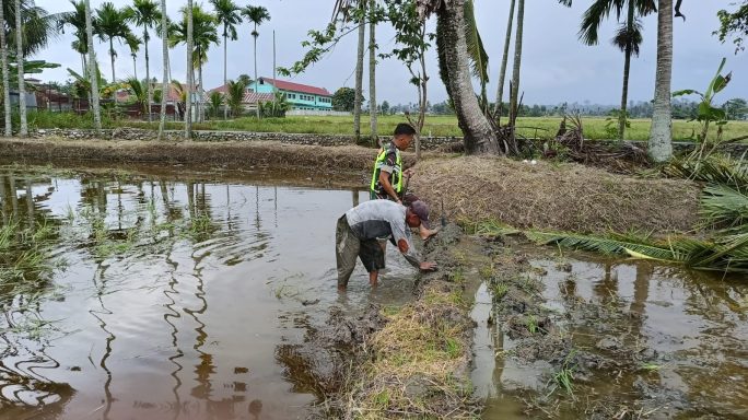 Babinsa Bantu Petani Buat Bedeng Sawah
