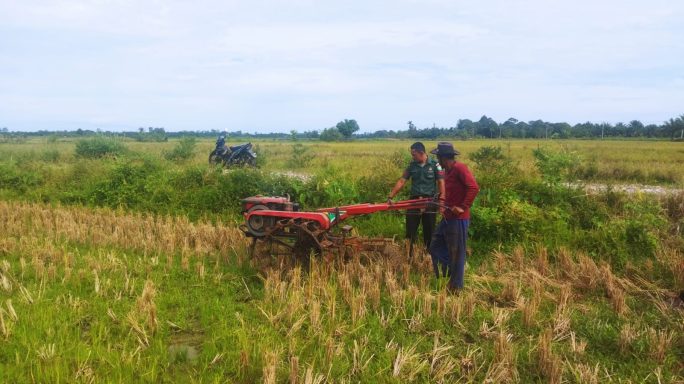 Rampung Panen, Babinsa Dorong Petani Sambung Olah Sawah