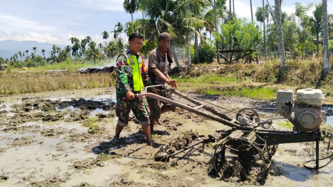 Babinsa Bantu Petani Bajak Sawah Dengan Traktor