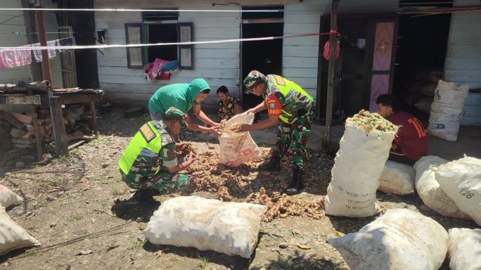 Pererat Silaturahmi Dengan Warga Binaan Babinsa Anjangsana Dengan Pengepul Jahe
