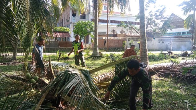 Babinsa Posramil Peusangan Siblah Krueng Bantu Warga Tebang Pohon Kelapa