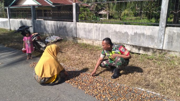 Peduli Dan Jalin Kebersamaan Dengan Masyarakat Babinsa Bantu Jemur Hasil Coklat